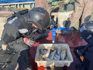 목포해경, 어획량 축소 기재한 중국어선 검거