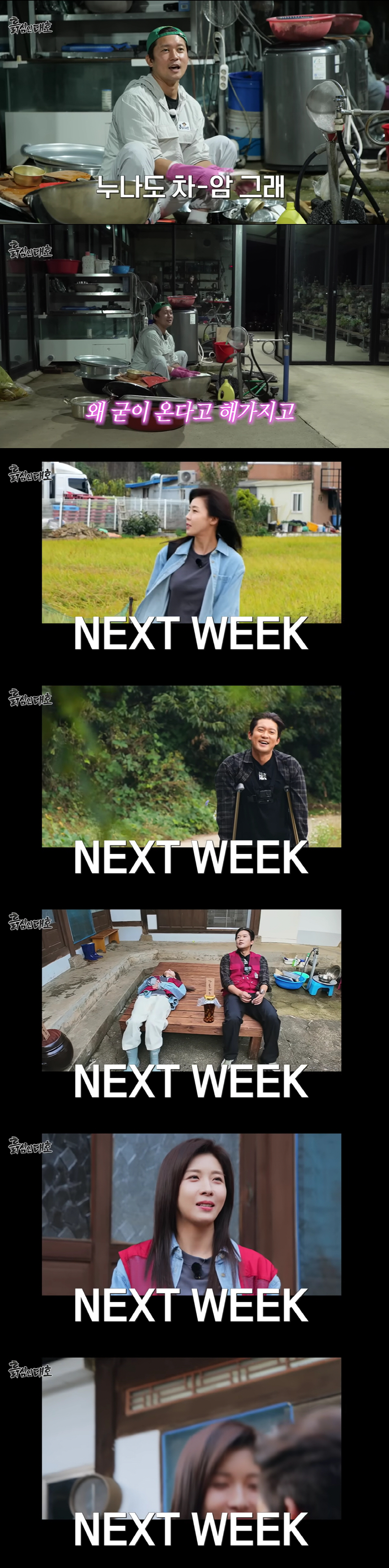 김대호, 하지원과 N번째 ♥핑크빛 터졌다..목발 짚고 꽃다발 선물까지 "…