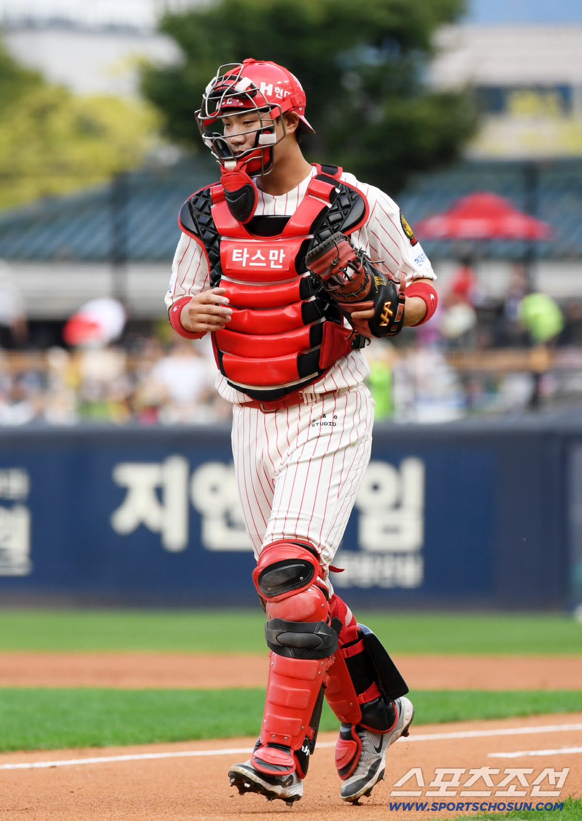 "팔 안 펴져" 4년 괴롭힌 고통…KIA 트레이드 승부수, 포수 포기 안…