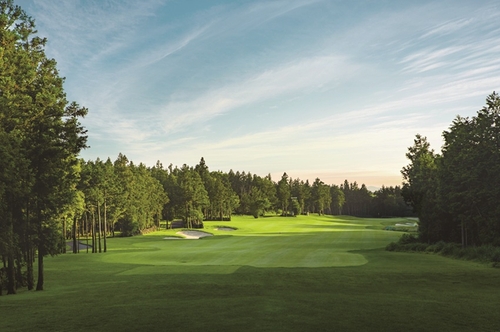 롯데스카이힐CC 제주, 기후 변화 맞춰 잔디 교체…기념 프로모션