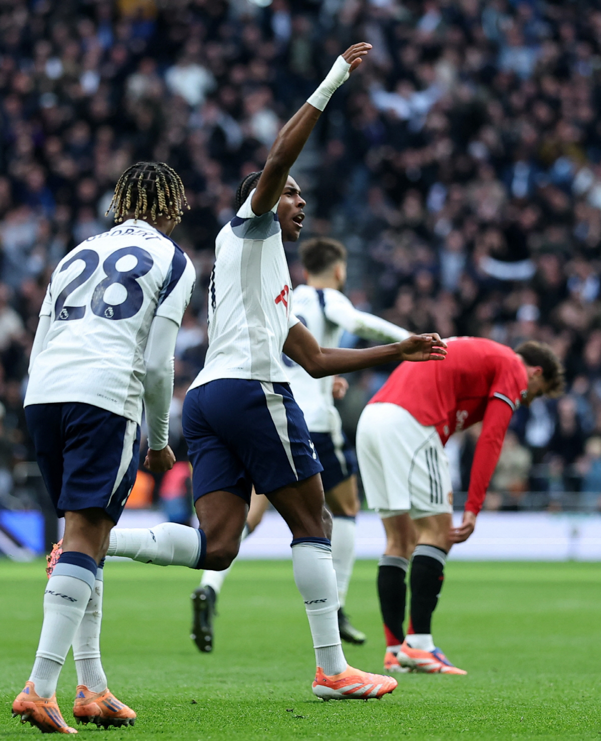 "손흥민 '7번' 당장 집어치워" 시몬스→텔, 쏟아진 야유와 비난, 깜짝…