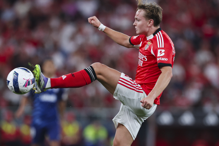 대충격! 노르웨이 '불법 영상' 스캔들…28년 만의 본선행 좌초? 전도유망 21세 윙어 기소 "전적으로 책임질 것"