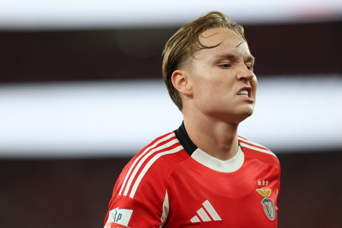 대충격! 노르웨이 '불법 영상' 스캔들…28년 만의 본선행 좌초? 전도유망 21세 윙어 기소 