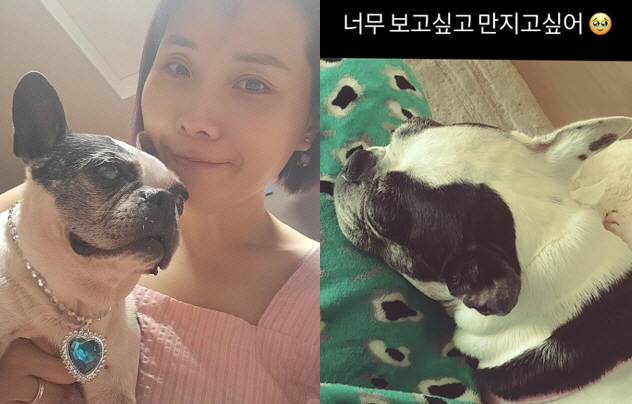 신봉선, 3년전 떠난 가족 빈자리에 눈물..."너무 보고 싶고 만지고 싶…