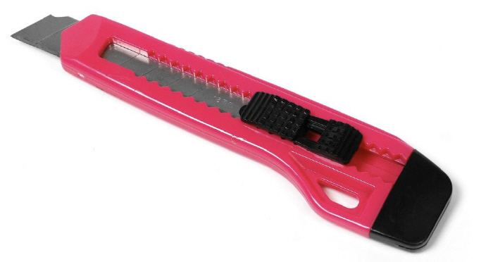 불륜남 '그곳' 자른 여성 "다른 여자와 못 놀게 하려고"