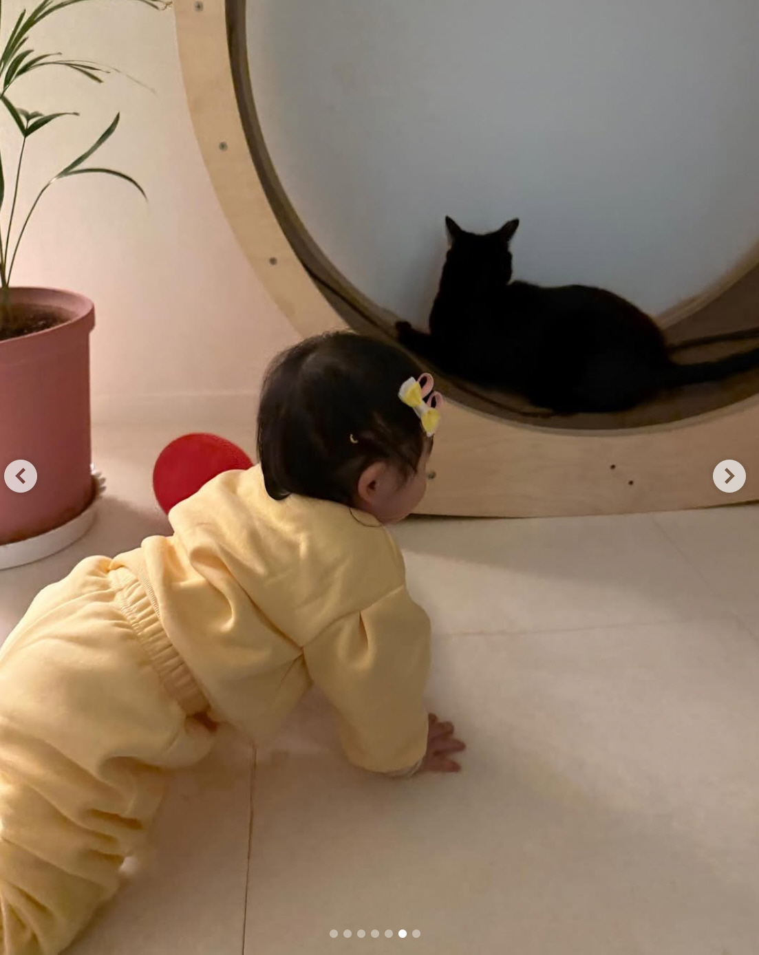 '가족 절연' 박수홍, 인생 바꿔준 1살 딸+반려묘 투샷에 뭉클 "늘 이…