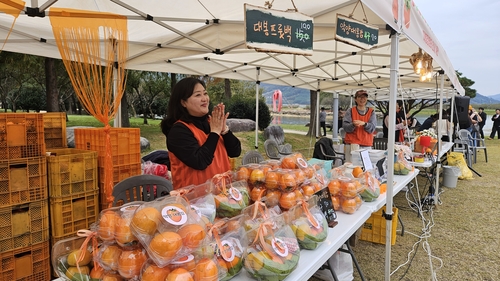하동 악양 대봉감 장터 성황…대봉감 고장의 자부심 되살려
