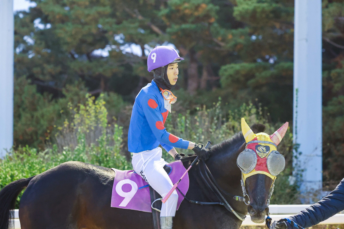 신예 첫승→명장 500승→연승마 질주…기록행진 이어가는 렛츠런파크