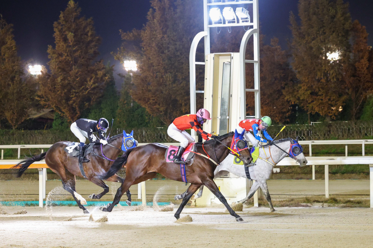 신예 첫승→명장 500승→연승마 질주…기록행진 이어가는 렛츠런파크