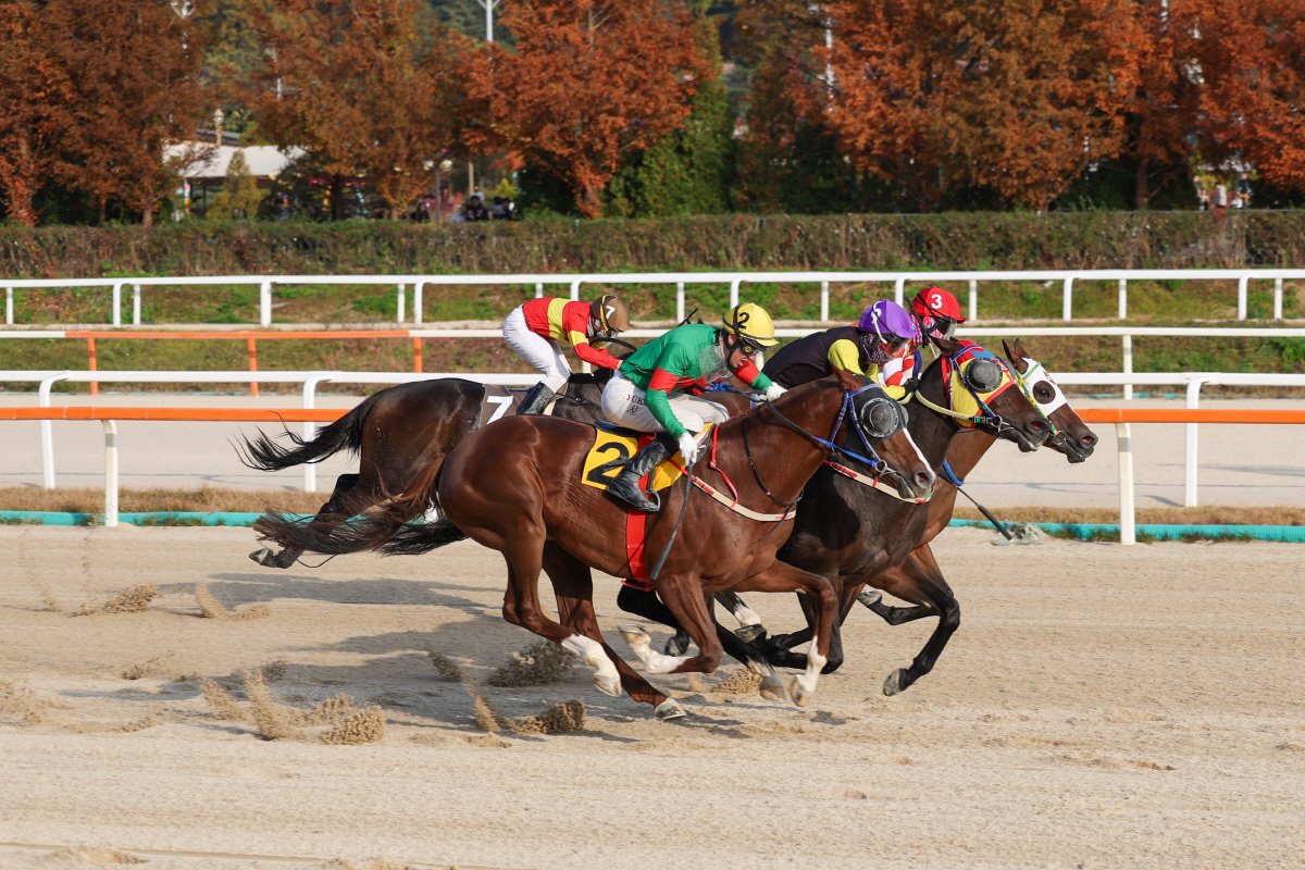 극적인 추입승! '위즈리얼리티'가 선보인 짜릿한 역전극