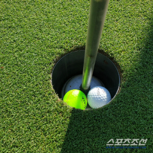 '카트·캐디 선택제' '캐디피 카드지급' 왜 안될까? 문체부 vs 한국골프장경영협회 이유 있는 평행선, 골프장 안전점검 강화