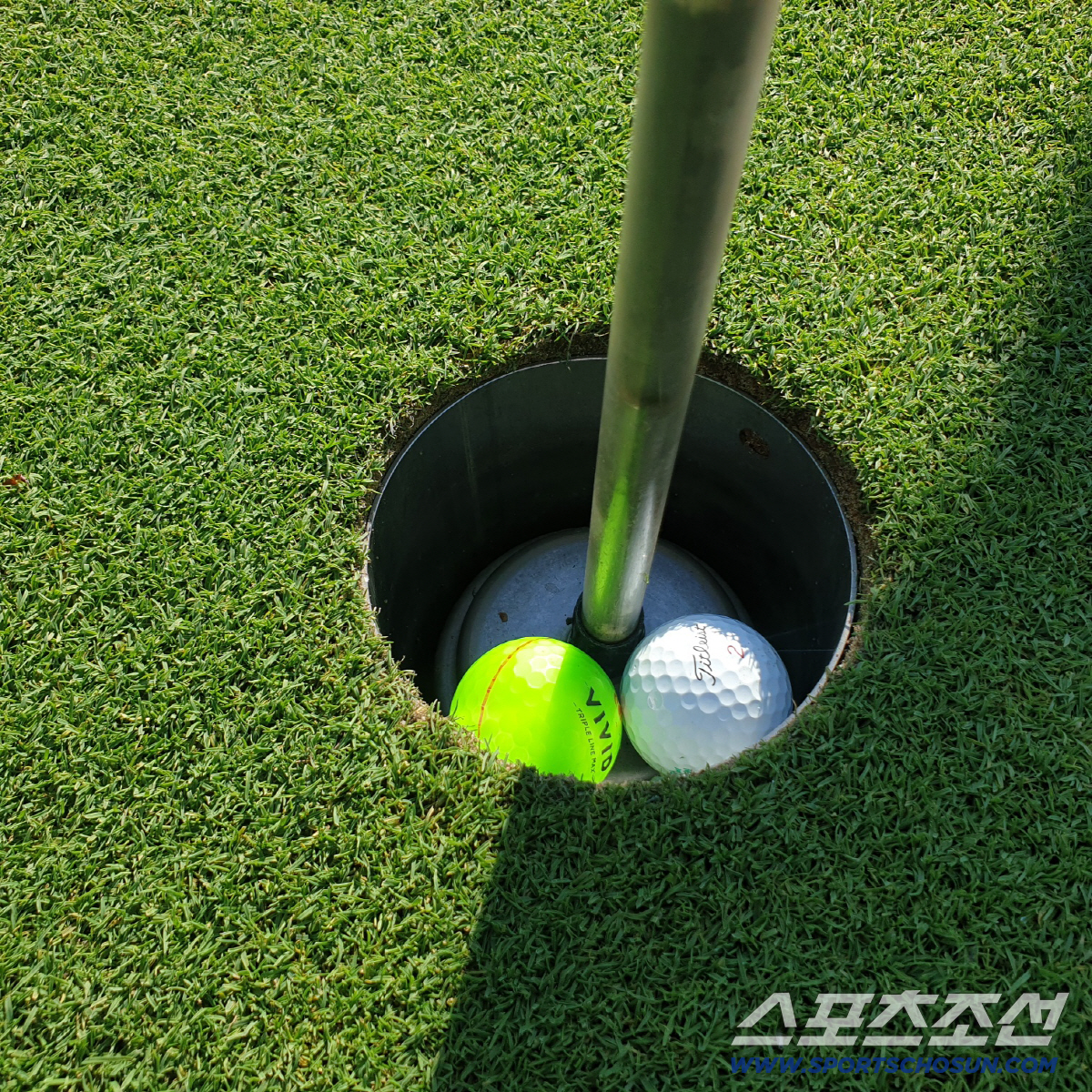 '카트·캐디 선택제' '캐디피 카드지급' 왜 안될까? 문체부 vs 한국골…