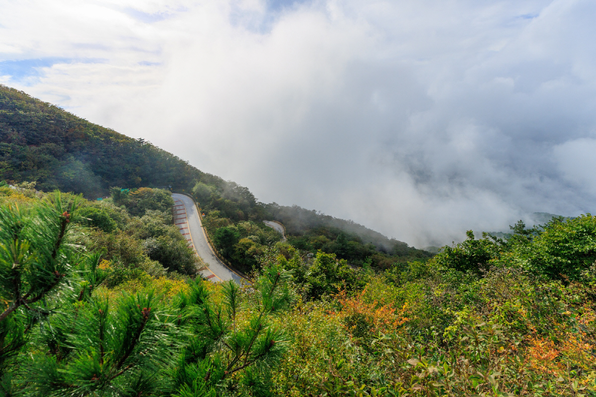 남자의 시간 '가을 남원'…매너와 배려, 그윽한 풍경에 풍덩