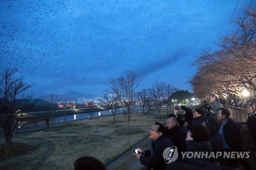 "울산 태화강 세계에 알리자"…생태관광비엔날레 개최 제안