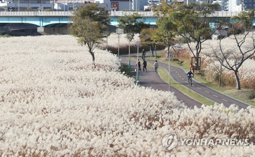 "울산 태화강 세계에 알리자"…생태관광비엔날레 개최 제안