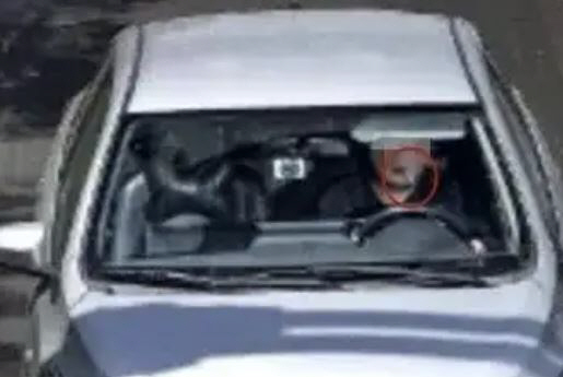 운전 중 치실 물고 있었더니 경고 처분…"과도하다" 호소