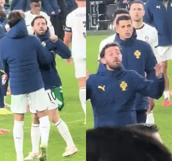 '호날두 팔꿈치 퇴장'의 나비효과, 흥분한 베실바-디아스, 포르투갈팬과 …