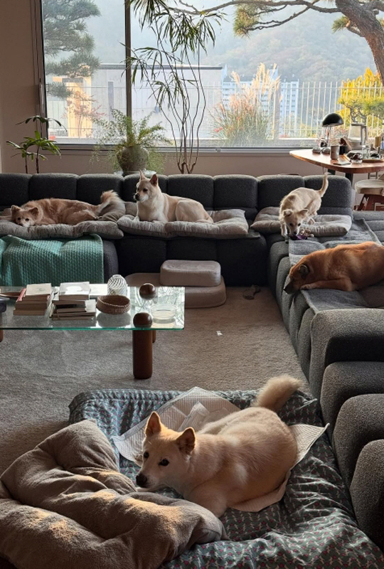 이효리♥이상순, 그림 같은 60억家...아늑한 거실 분위기에 '힐링'