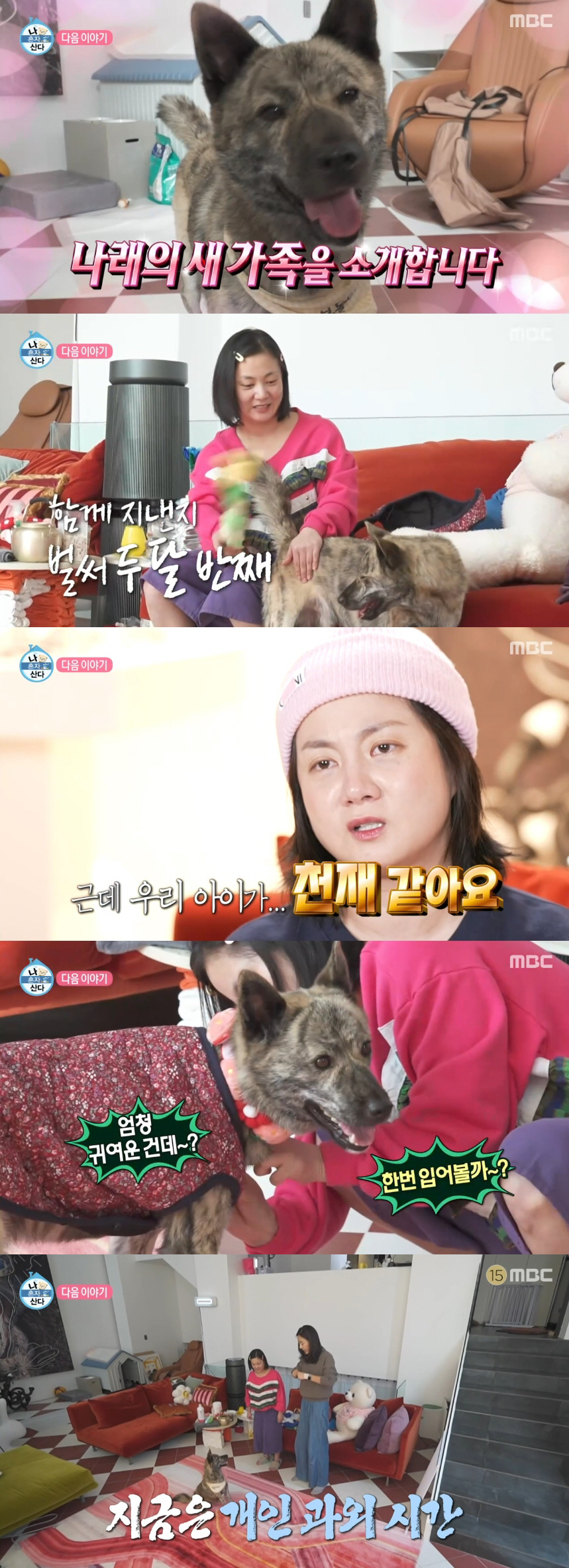 박나래, 조부 진돗개 입양하더니..55억家서 개인 과외까지 '애지중지' …