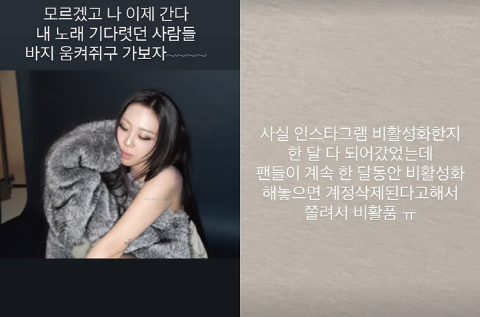 이영지, 팬들에 제대로 속았다..한달만 SNS 복귀하고 '당혹'