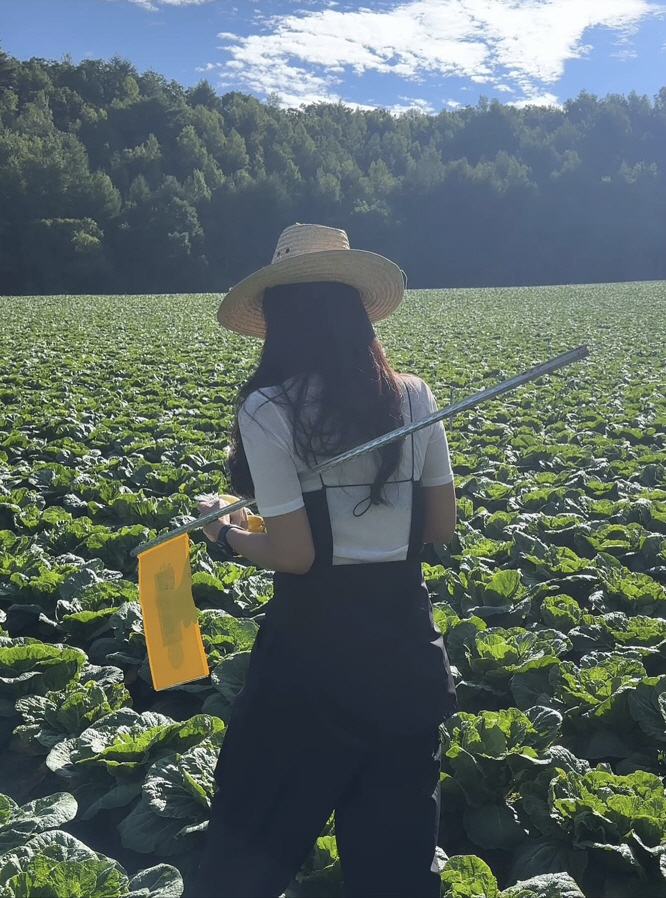 박솔미, 농사 대박났다..사람만한 거대 배추 실화야?