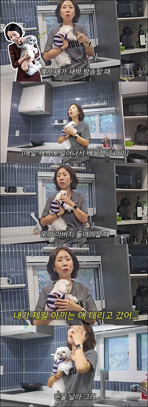 정선희, 8년 전 이별에 오열 "가장 아끼는 애 데려가, 시간 지나도 안…