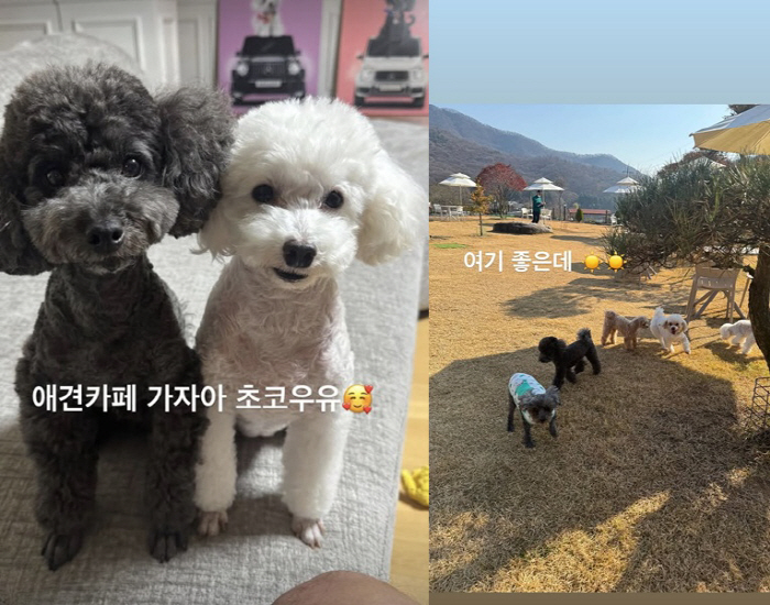 '이혼' 황재균, 아이 안고 환하게 웃었다..훈훈한 주말 일상