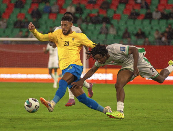 '흥민이형 위로해줘' 흥부듀오 부앙가, 월드컵 좌절 후 눈물의 메시지, …