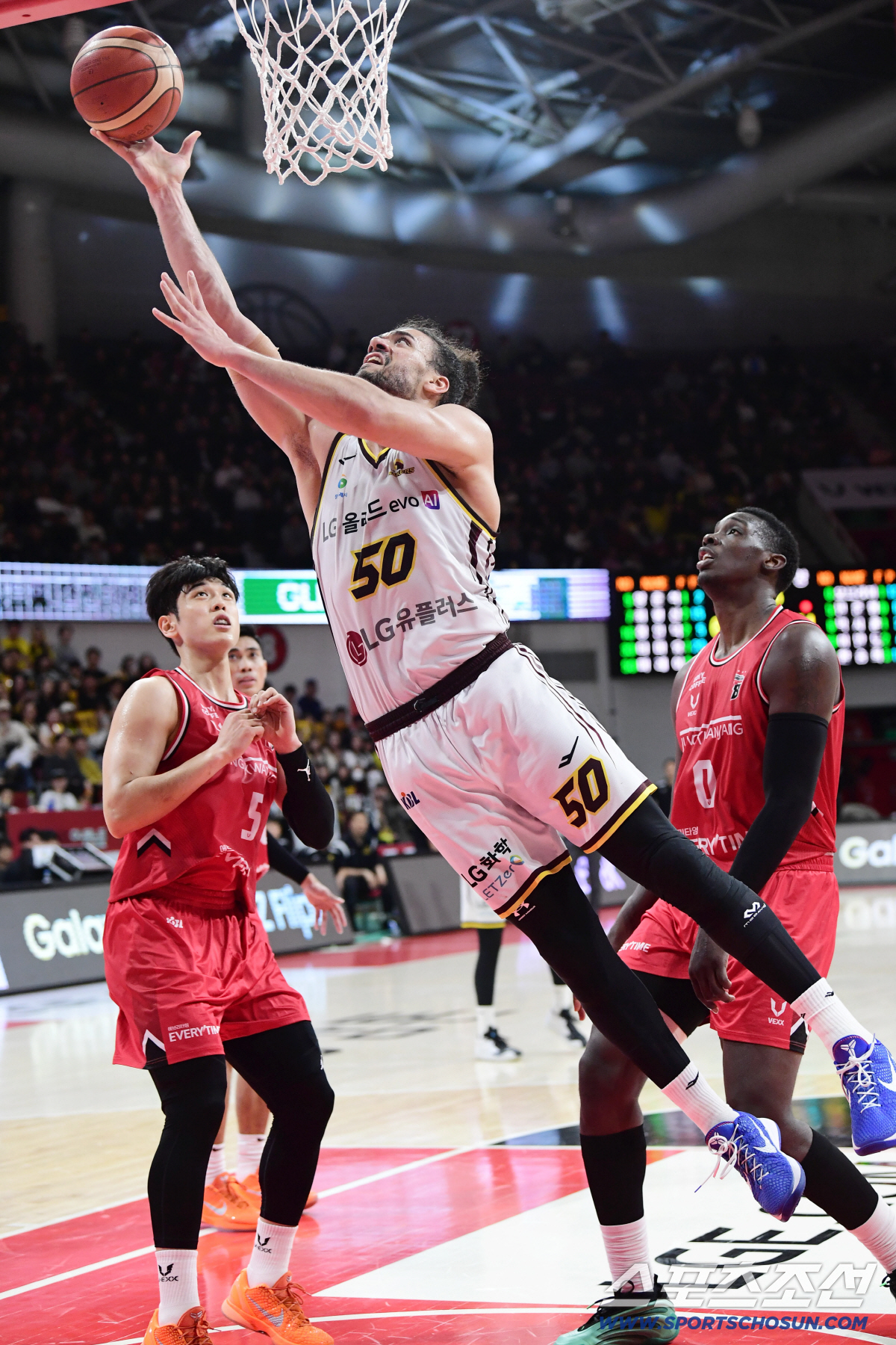 '디펜딩 챔피언' 창원 LG의 위력 무섭다…더 견고해진 힘→어린 선수들 …