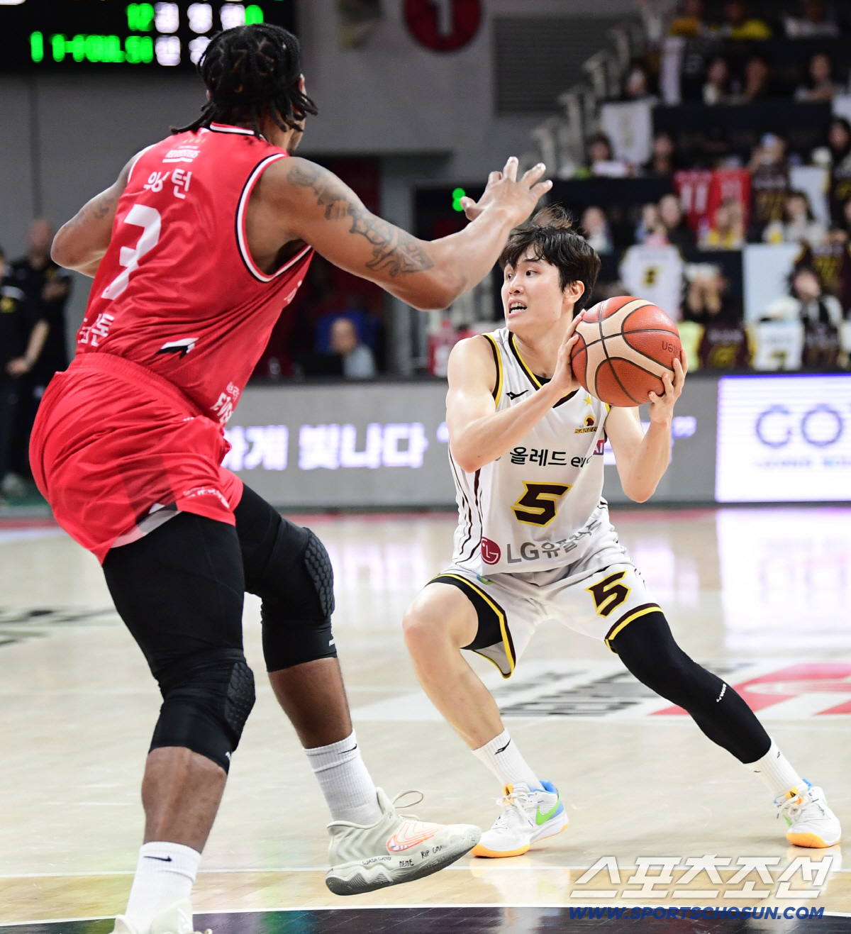 '디펜딩 챔피언' 창원 LG의 위력 무섭다…더 견고해진 힘→어린 선수들 …