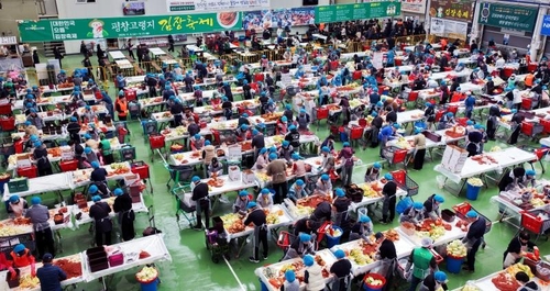 평창고랭지김장축제, 방문객 6만명 돌파…역대 최대 성과