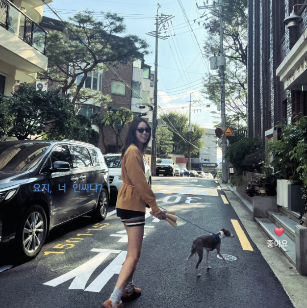 공효진, 산책하다 들켰다…‘인싸견 요지’에 끌려다닌 여배우 현실