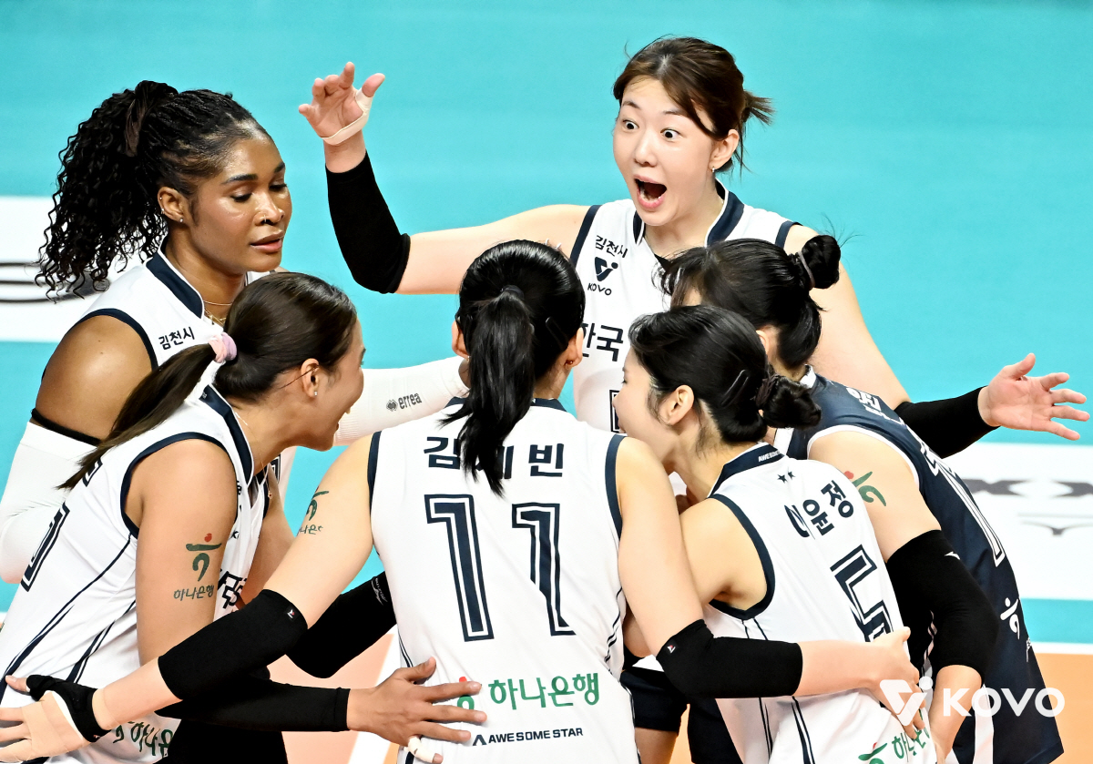 남자부 3강은 여전한데, 여자부는 도로공사 독주&난전…팀별 불안요소 → …