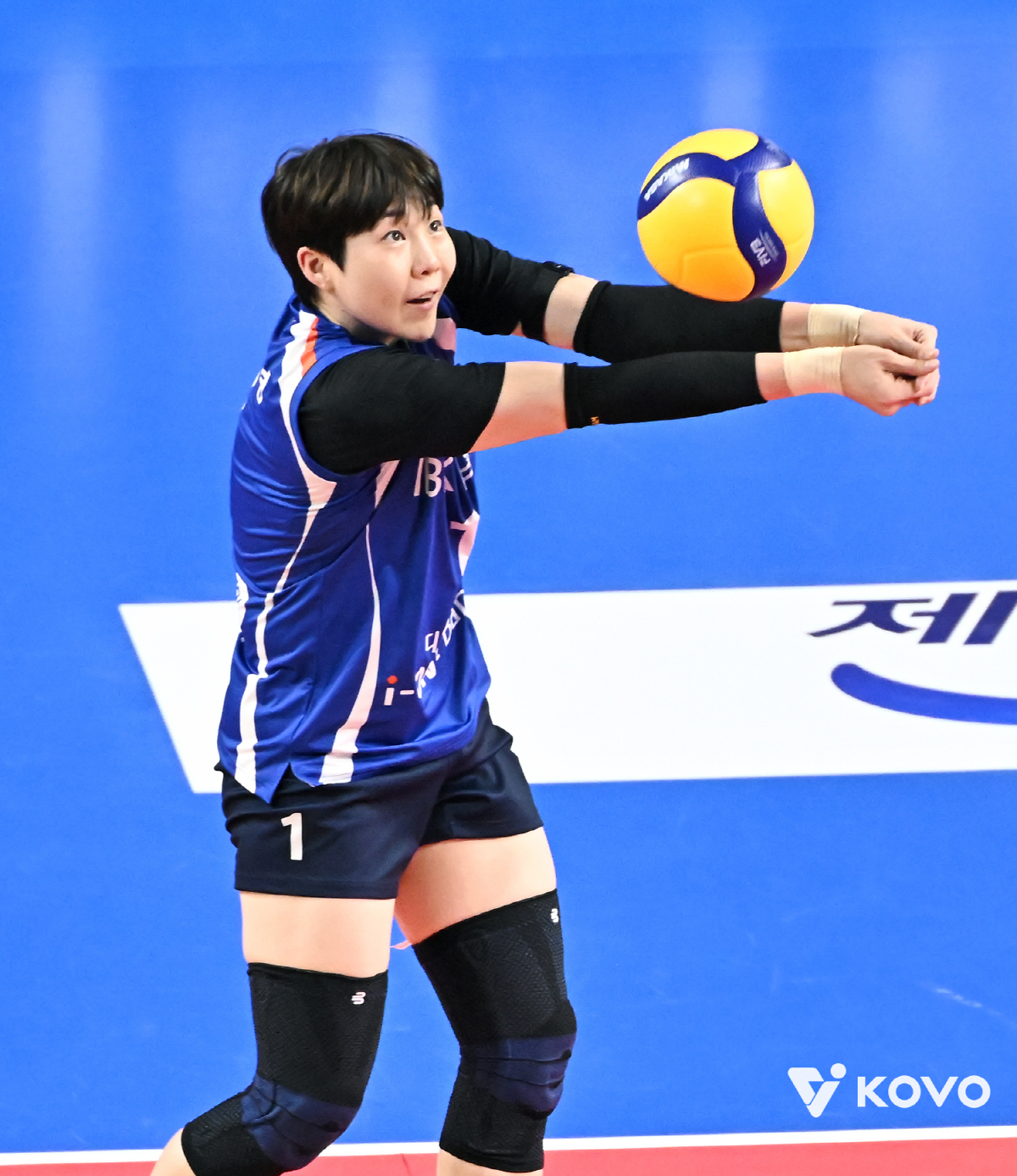 남자부 3강은 여전한데, 여자부는 도로공사 독주&난전…팀별 불안요소 → …