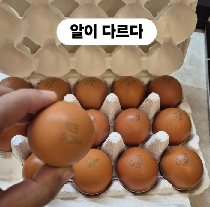 이경실 "품질 좋은 4번 달걀" 해명에도 비난 쇄도 "동물복지 외면이 문…