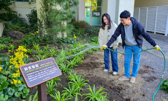 금호석유화학, 임직원이 직접 가꾼 멸종위기종 '파초일엽' 식재