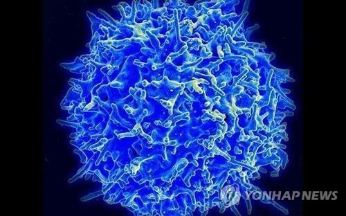 글로벌펀드, 한국에 감염병 퇴치 2억불 요청…"국격·실리 기회"