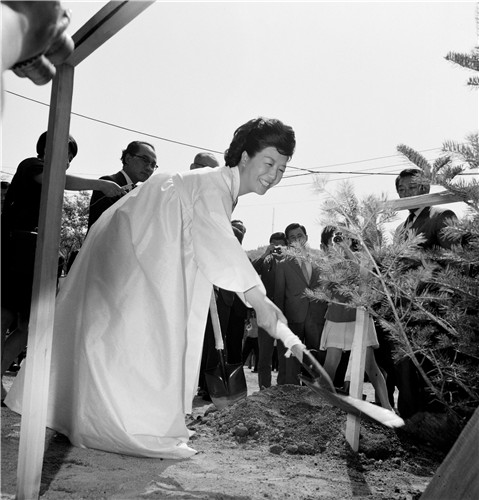 육영수 여사 조명…신간 '당신은 우리들의 축복이었습니다'