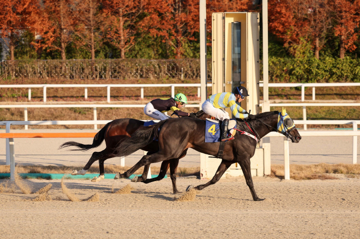 1억6천 몸값 제대로 했네…'그대만있다면', 제19회 과천시장배 제패