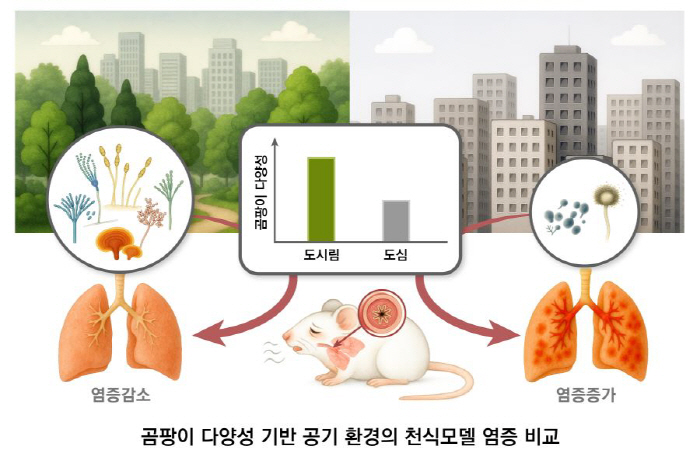 서울 도심공원 많은 자치구 천식 환자 절반…숲 곰팡이 '공기 백신' 역할