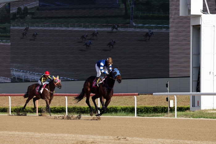 '꿈을 향한 최종장' 2세·암말 최강자 가릴 브리더스컵 루키&퀸, 승자는
