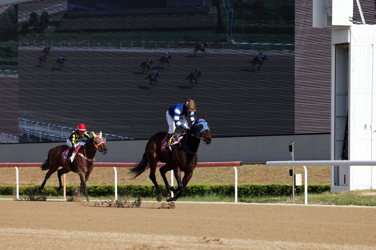 '꿈을 향한 최종장' 2세·암말 최강자 가릴 브리더스컵 루키&퀸, 승자는