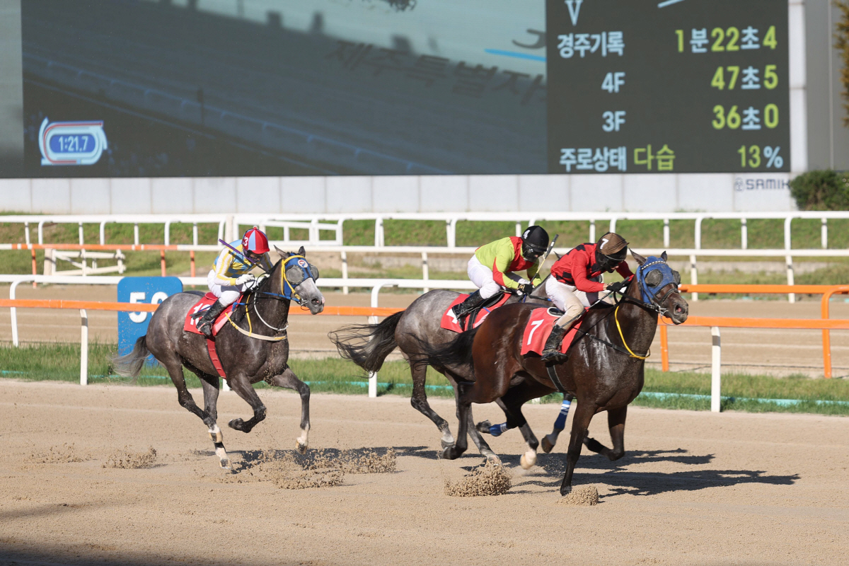 '꿈을 향한 최종장' 2세·암말 최강자 가릴 브리더스컵 루키&퀸, 승자는
