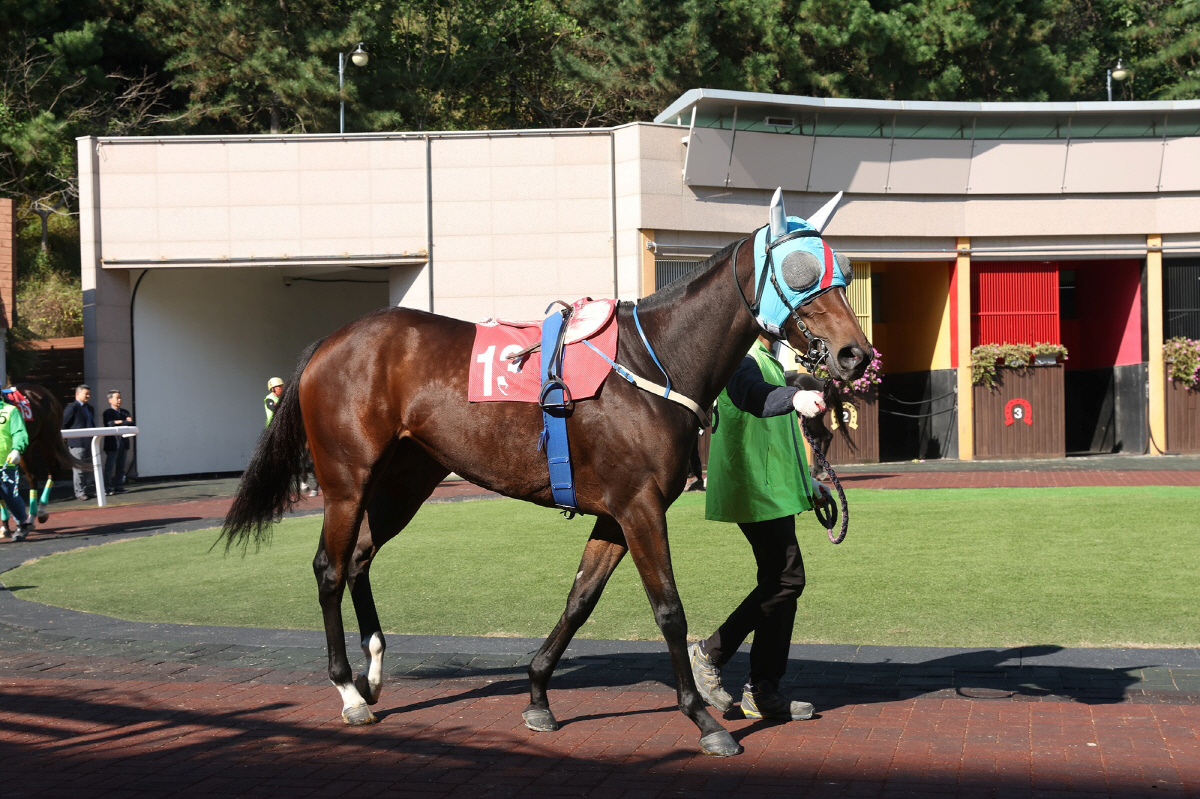 '꿈을 향한 최종장' 2세·암말 최강자 가릴 브리더스컵 루키&퀸, 승자는