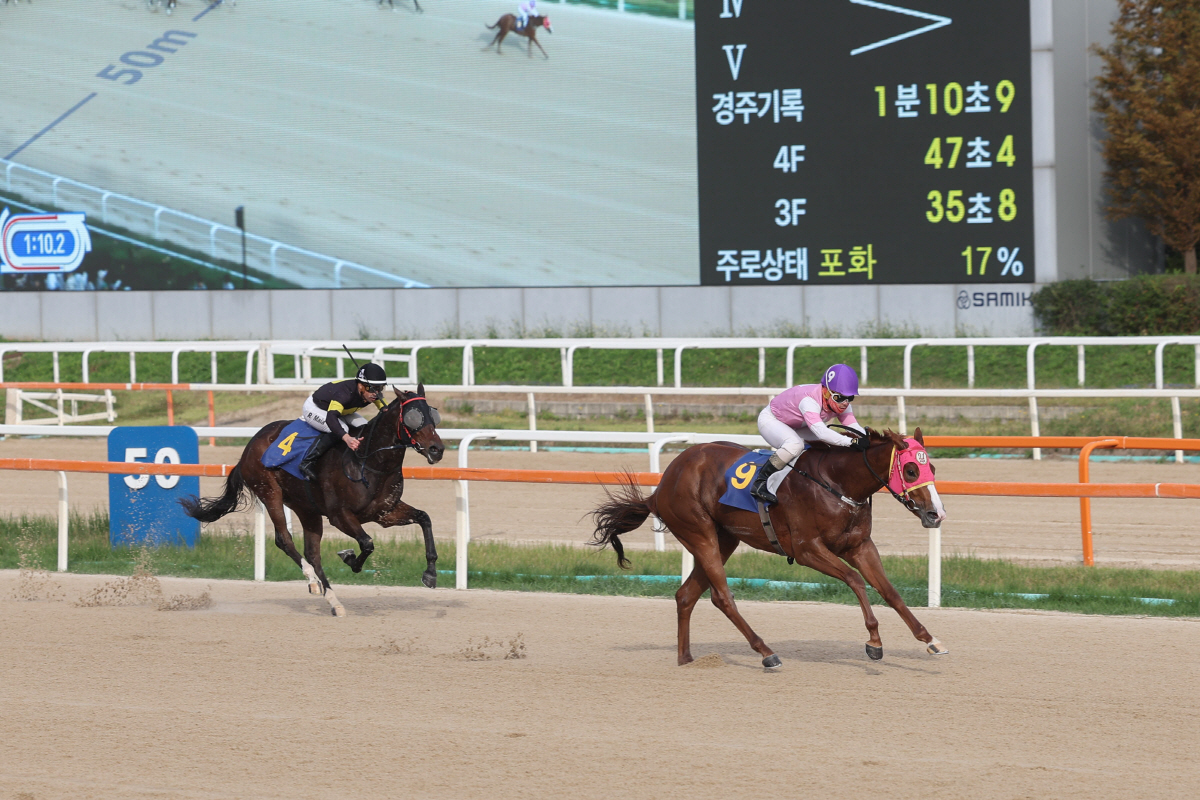 '꿈을 향한 최종장' 2세·암말 최강자 가릴 브리더스컵 루키&퀸, 승자는