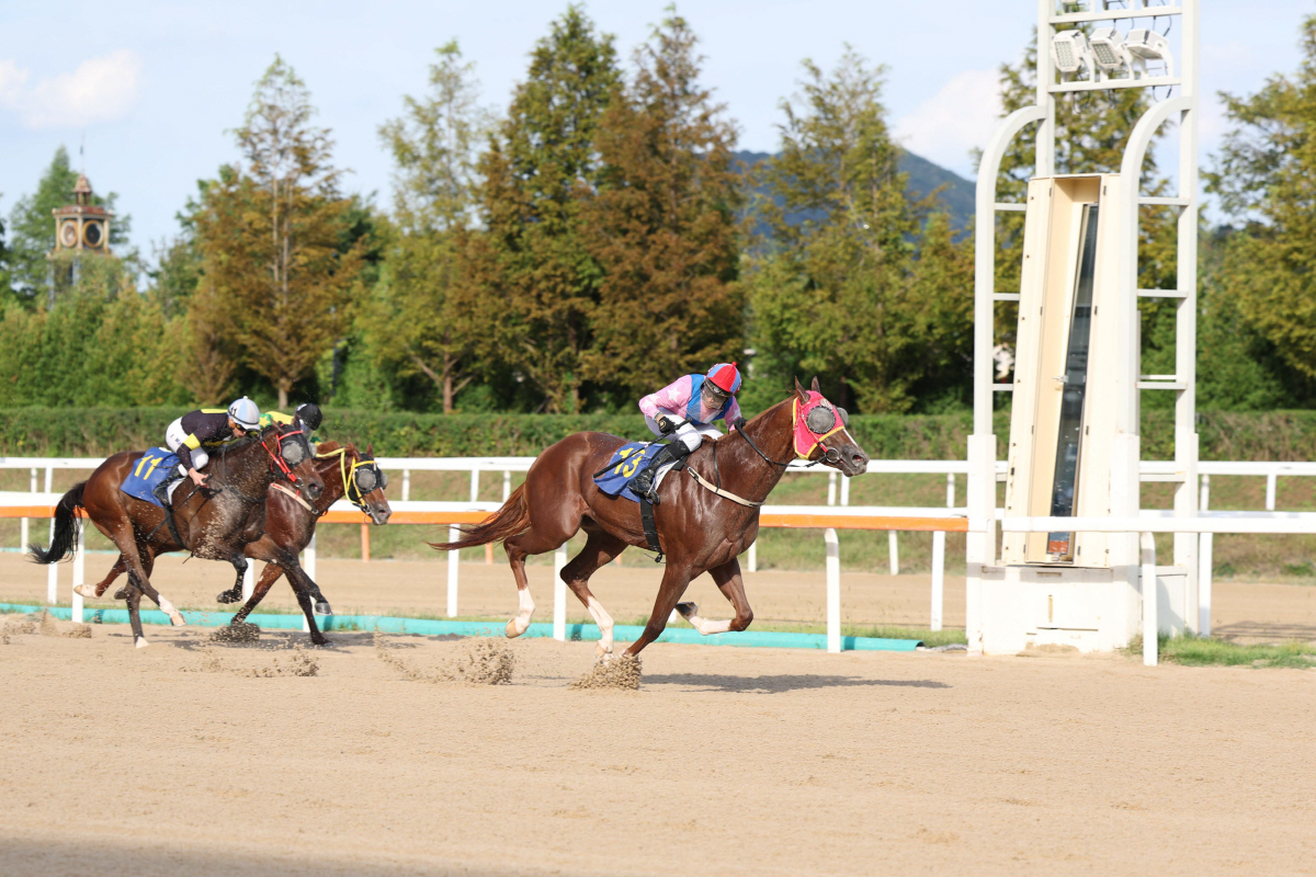 '꿈을 향한 최종장' 2세·암말 최강자 가릴 브리더스컵 루키&퀸, 승자는