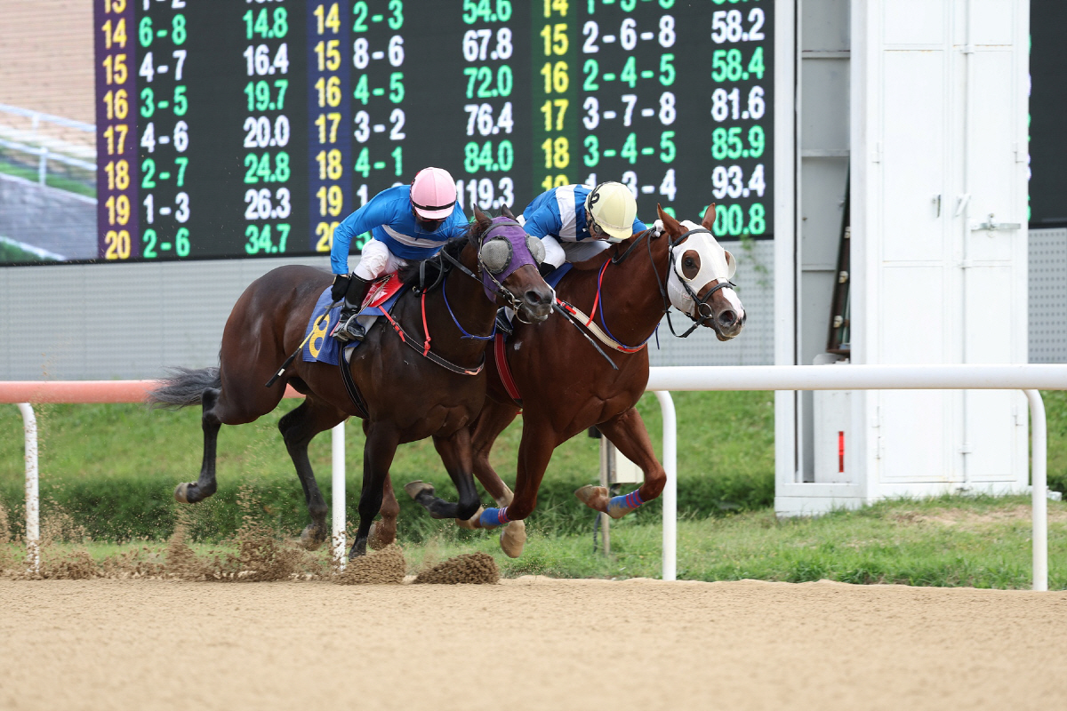 '꿈을 향한 최종장' 2세·암말 최강자 가릴 브리더스컵 루키&퀸, 승자는