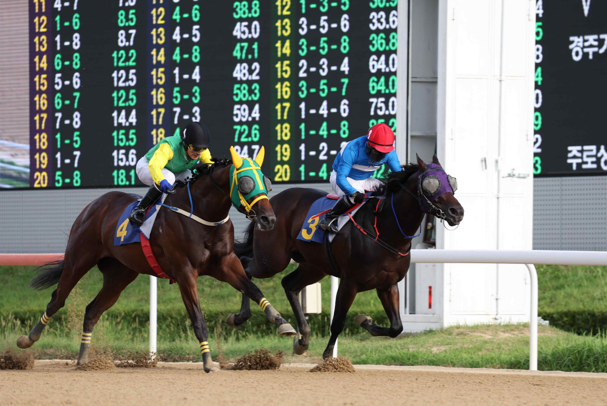 '꿈을 향한 최종장' 2세·암말 최강자 가릴 브리더스컵 루키&퀸, 승자는
