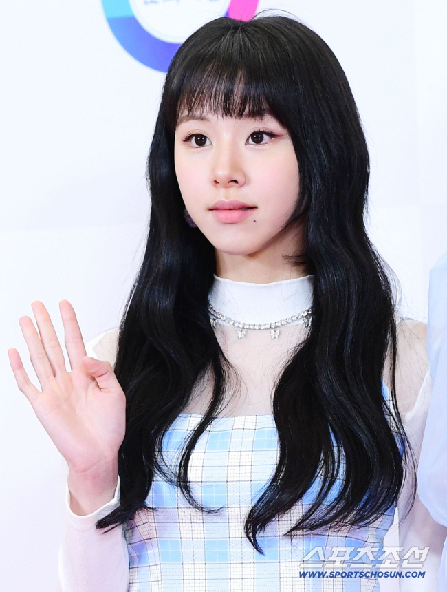 [공식] 트와이스 채영, 미주신경성 실신으로 활동중단 "월드투어 불참"(…