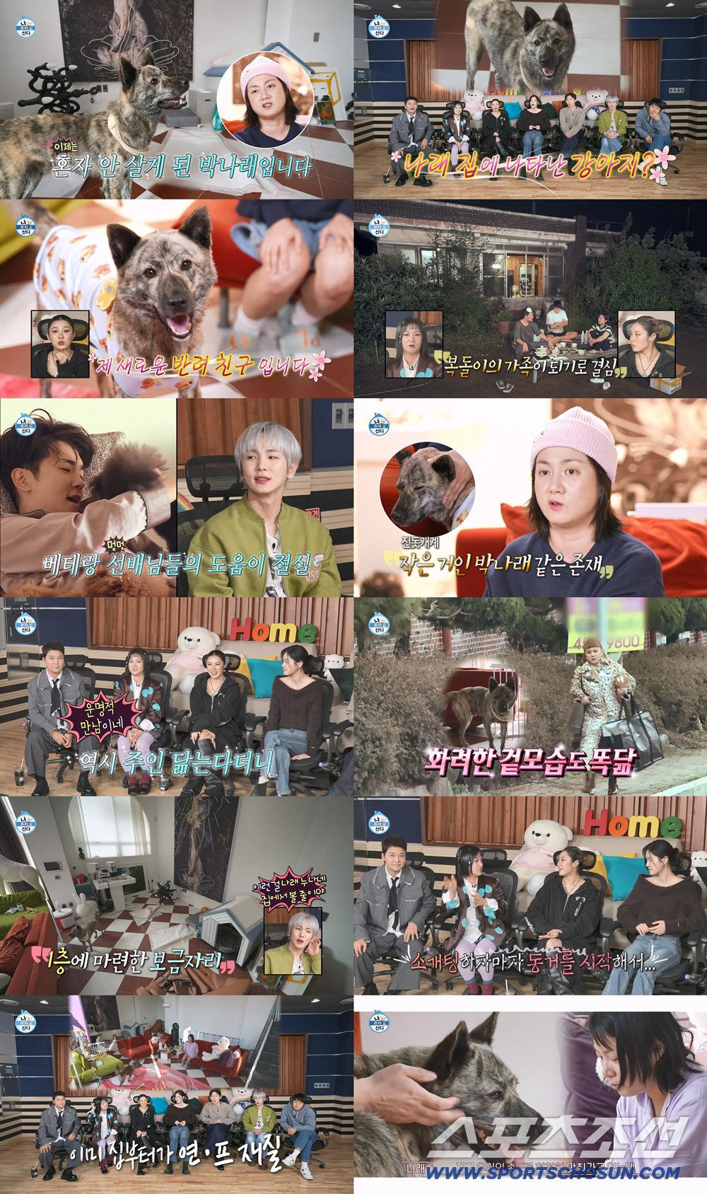 '40세 미혼' 박나래, 결국 '동거' 시작했다…"소개팅하자마자 같이 살…